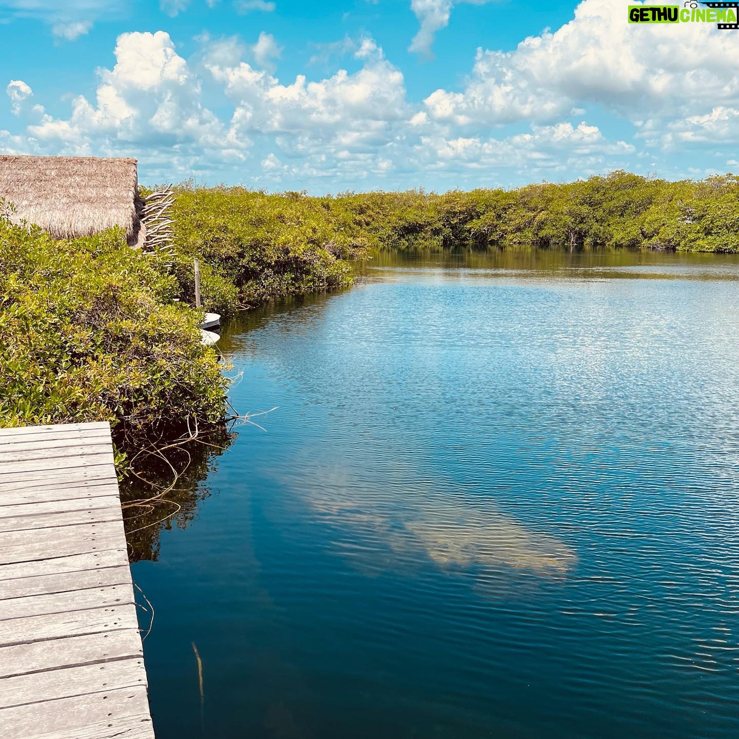 Nikita Ramsey - 229 Likes - back home from a week of beach hopping & eating our way through mexico … first stop tulum.