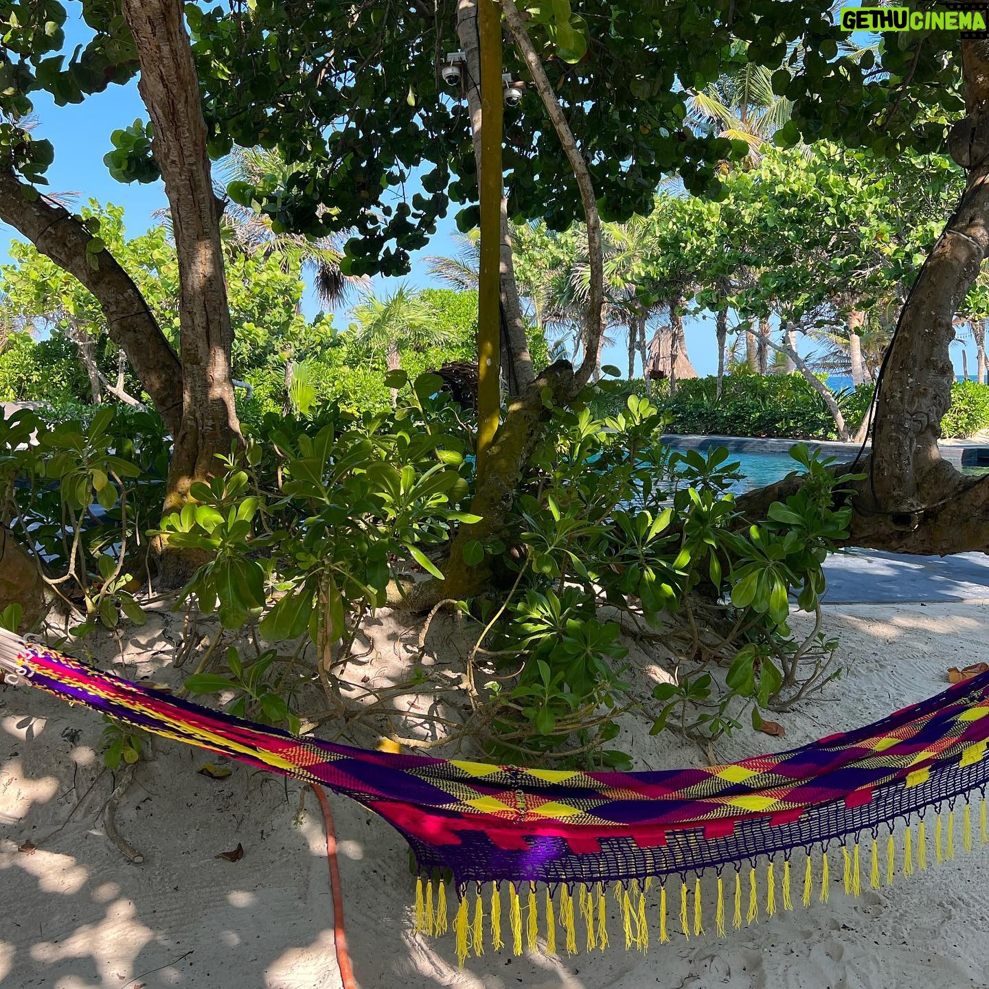 Nikita Ramsey - 229 Likes - back home from a week of beach hopping & eating our way through mexico … first stop tulum.