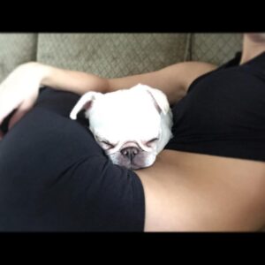 Nikki BreAnne Wells Instagram - after workout #cuddles are the best cuddles?