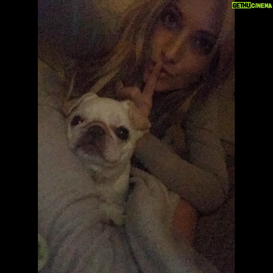 Nikki BreAnne Wells - 104 Likes - don't. wake. #gremlin. 👾👾👾 #frenchie #love #frenchbulldog #pug #frug