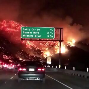 Nikki BreAnne Wells Instagram - #unbelievable (yes, this is real) - ❤️’s to our firefighters.. #LAFD