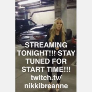 Nikki BreAnne Wells Instagram - build a new #traxxas on stream, tiny piece by piece with my mini toolkit soon? yeah?