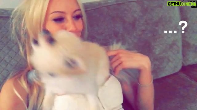 Nikki BreAnne Wells - 130 Likes - what in the world do you do when puppy is literally YOU in #puppy form? 🤷🏼♀️lmao 😂 #smh @puppiesmakemehappy