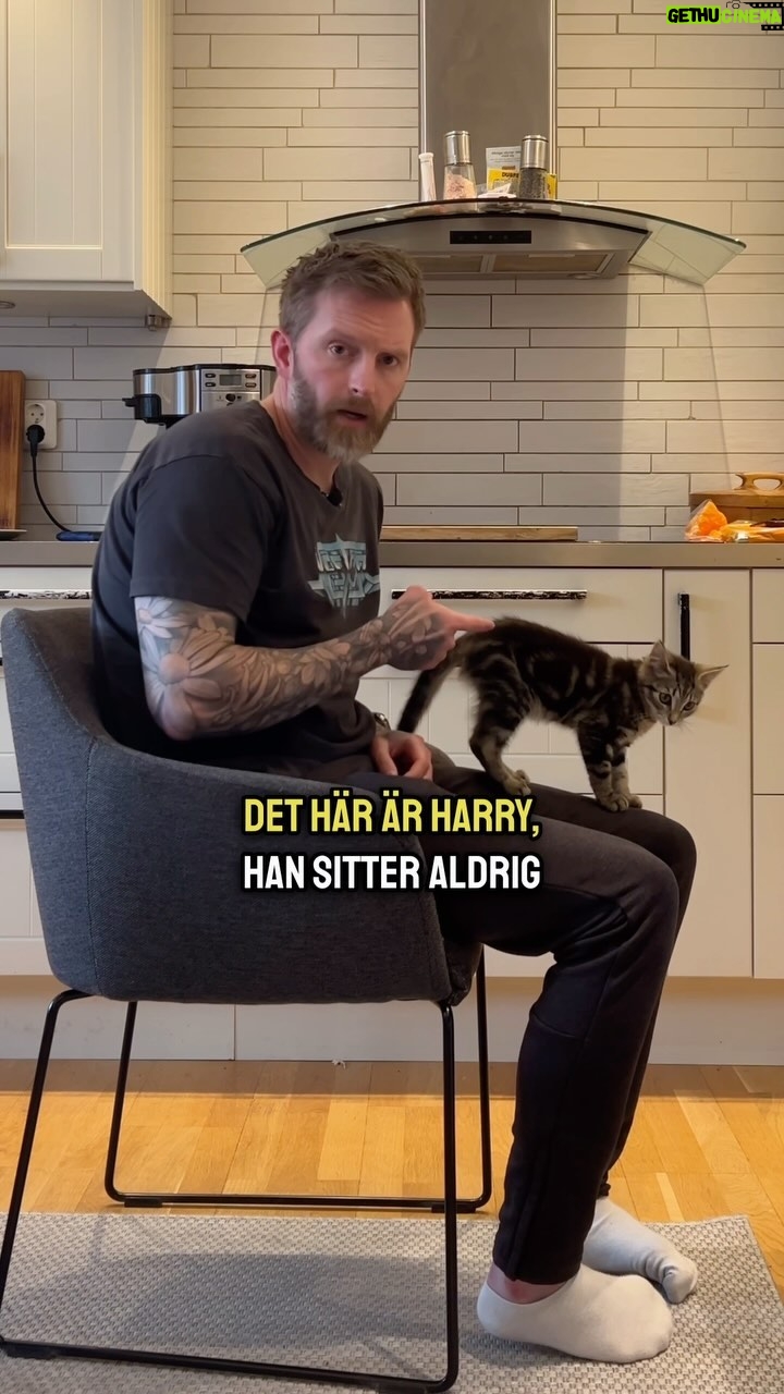 Niklas Andersson - 2.7K Likes - Hur du gör för att sitta rätt i alla positioner du vill sitta rätt i.