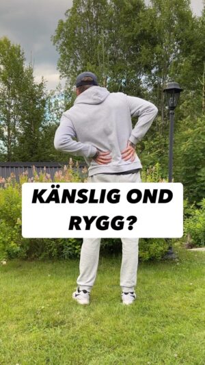 Niklas Andersson Instagram - Här ser du en variant på stegring av belastning och rörelse för en exempelvis öm/ond/stel rygg. Notera att detta är ett av många olika sätt och notera att detta inte alltid är vad ömma/onda/stela ryggar behöver.

Det är inte heller speciellt coola grejer, däremot är det rörelser som du kanske upplever gör ont men nerskalade till en nivå som känns mer trygg, sen får man vara lite kreativ när man ska hitta en något tyngre nivå.

Du kan ha jävligt ont i din rygg, det betyder dock inte att du är jävligt trasig. Precis som att ditt brandlarm ringer lika högt när du bränner köttbullar som när det brinner så kan ditt varningssystem tjuta högt utan att du är trasig.

Larmsystemet är ganska dåligt på att tala om i vilken omfattning du är trasig eller inte trasig.

Så att gå runt och akta sig för rörelse och aktivitet pga att det gör väldigt ont och är läskigt kan faktist bidra till att du upplever mer ont. Då kanske det kan vara värt att testa att skala ner och skala upp.

Känns det svårt och läskigt, ta hjälp och få det anpassat efter dig 🙂