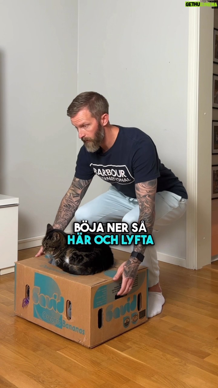 Niklas Andersson - 1.9K Likes - Det finns inga fel sätt att lyfta, det finns däremot olika sätt att lyfta och vilket som kommer vara rätt för stunden beror på.
Har du ont av att lyfta på ett sätt så lyft på ett mer bekvämt sätt. Är något väldigt tungt så använd en teknik som gör lyftet lättare.
Det är alltså okej att lyfta hur man vill, du behöver inte lyfta som en robot och gör förmodligen inte det heller.
Om du tex får ont direkt efter eller i samban med ett lyft så är det mer än bara tekniken i lyftet som ligger till grund.
Om du någon gång gör en helt vanlig rörelse och har fått ett ryggskott så har du där ett tydligt exempel på att det ligger flera saker i grund till att du fick ont helt plötsligt, för den rörelsen har du gjort 1000 gånger tidigare utan att få ont ☺️
Så saker som antal gånger du lyfter och massa annat spelar roll. Du kan få ont av att lyfta så som den ergonomiska skolboken säger också 👍