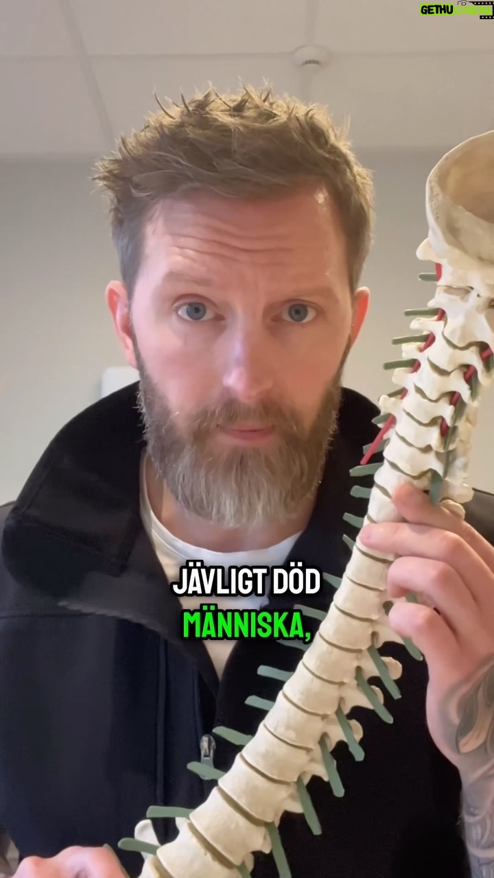 Niklas Andersson - 1.9K Likes - Nu kanske du tänker, ” fast det är det väl ingen som tror”. Då kan jag informera dig om att jag dagligen får ta den här diskussionen med folk på jobbet.
Så därför väljer jag att belysa detta 🙂 och när jag säger ”mina kollegor ute i landet” så menar jag någon enstaka här och där. Dom flesta är med på detta.
Det finns också tillstånd som ex spondylolistes där det faktist sker en glidning, och den kan vi tyvärr inte trycka tillbaka. Detta kan ske bland annat pga degenerativa förändringar osv.
Finns även tillstånd som EDS varianter där saker kan hoppa ur led osv. Men nu snackar vi inte om det, nu pratar vi om när du får ont i ryggen och tror att kotan åkt på semester 😉
