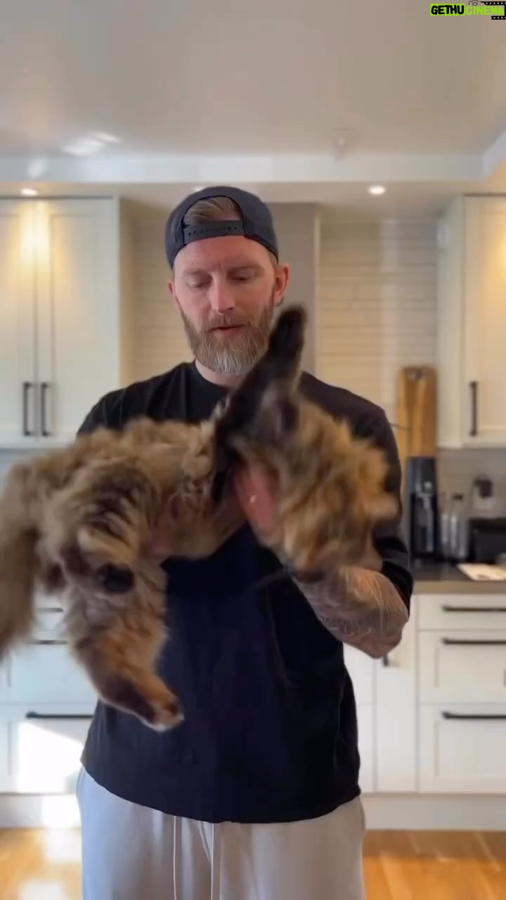 Niklas Andersson - 1.8K Likes - Stretching är träningsbranchens svar på Alvedon, så låt oss alla slita och dra i allt som gör ont och känns stelt.
Och fortsätt ignorera alla faktorer som bidrar till att det gör ont och känns stelt 🙃