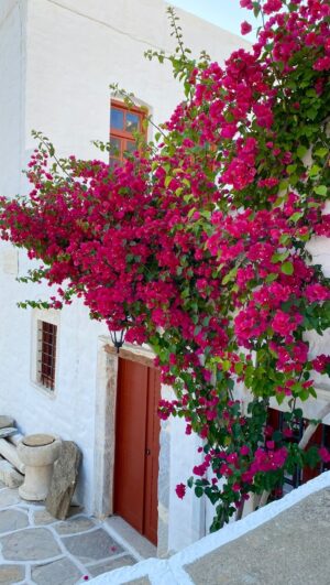 Nikoletta Ralli Instagram - Εκδρομή ♥️🇬🇷 #naxos