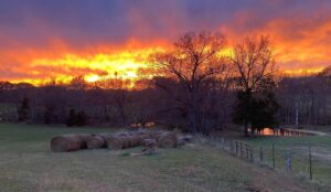 Nishi Munshi Instagram - Kentucky sunset. ❤️#naturalbeauty