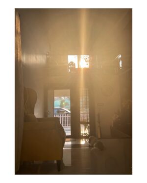 Noel Sean Instagram - Nothing Can Stop The Sun From Shining #goodmorning