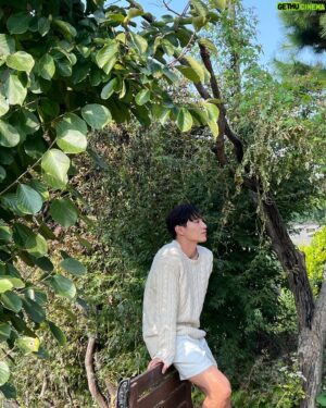 Noh Sang-hyun Instagram - 🫠