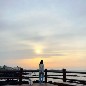 Noh Susanna Instagram - 제주에서🤍
(안젤라랑 행복하게 )