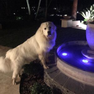 Nolan North Instagram - Drinking from the fountain. Busted!