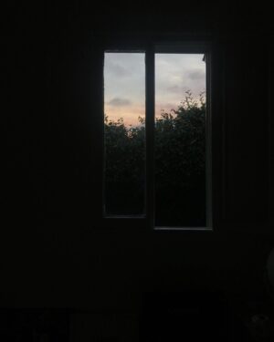Nora Zehetner Instagram - Farewell, Coronado St 🫶

1. 35mm from my last weekend by @noelwells 2. Galentines 2021 3. First week 4. Mom and dad 5. Alex’s annual thanksgiving extravaganza 6. My first sunset in the house through my bedroom window - June 2020 7. A send off 8. Midnight porch hangs 🙃 7. Finit. 🦋

So lucky to have the best neighbors/friends @maxmagpie @jclosefaction @brabrabre