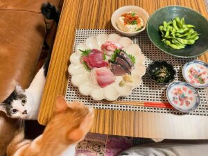Noriko Iriyama Instagram - 朝ごはんとか夜ごはんとか。

今年入ってからやってなかったんだ！なぜ？と
思いアルバム見返してたのですが、
舞台で丸々2ヶ月自炊してなくて、
お休みいただいては国内あちこち旅したりしてました。
そんなこんなで上半期が終わろうとしています。

わずかですが、家ごはんです。

豪雨やら、酷暑やらで、身体もびっくりしてますね。
しっかり栄養摂って、いい夏を迎えましょうね。

❶大家さんからいただいたきゅうり。マリネして、茗荷と生ハム、白胡麻で。
❷薬味山盛り梅もずくそうめん🎐
❸鯖野菜煮。ツナチェック。
❹タンパク質摂りたいサラダ🐙🫘🥗
❺鯖はなんだっけ…、にんにくで蒸し焼きにしたのかな。キヌアサラダにハマっていた時期。今はごはんに混ぜて炊いています。
❻いつもの朝。ツナチェック。
❼ナポ〜。
❽いえオムライス。
❾お刺身(スーパー)の日はお祭り騒ぎのふたり。
➓一緒に食べます☺️🐿️🐄✨