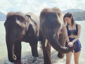 Noriko Iriyama Instagram - お休み頂戴しまして、
タイへ行ってきました！初めてのタイです☺️
こちらはプーケット。

朝から日が暮れるまでプールと海で遊んで、
ごはんやお酒をゆっくり楽しんで
向上心溢れるアグレッシブなタイの人たちに元気をもらい
賢く可愛く力持ちなゾウさんたちに感動！感激！して
たくさん空気の入れ替えができました➰🤸‍♀️🏝️✨💓

もう少し旅の写真アップしますね。
よろしければお付き合いください☺️