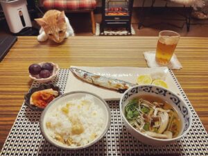 Noriko Iriyama Instagram - 朝ごはんとか晩ごはんとか。
なにかを取り戻すかのように秋を食しています🍁

❶さんまを狙ってると見せかけて
❷ブドウに手を出すおツナ。笑
❸栗ごはん炊いてん。
❹松茸いただいてん！
❺シンプルに網焼き…
❻贅沢にしゃぶしゃぶ！(写真分かりづらくてすみません😂)
❼きのこそば。しょうがたっぷり。
❽沖島ファームさんのピオーネ。キウイと。チーズと。
❾れんこん、南瓜、とりささみの秋マリネ。
➓パンケーキ焼くのは特技といって良いと思ってる🥞

あ！っという間に10月も終わりだ。
まだまだ楽しいことしちゃうよ！🍂🍠🍙