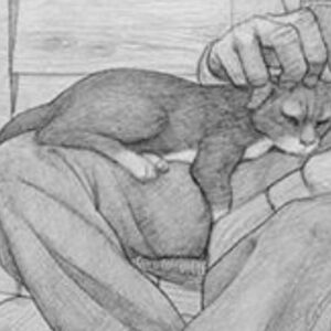 Norm Macdonald Instagram - Old Macdonald had a farm! E-I-E-I-O! 
And on that farm he had a.... CAT?!?!?!?!? #normart #kittyart (@infinite_jelly)