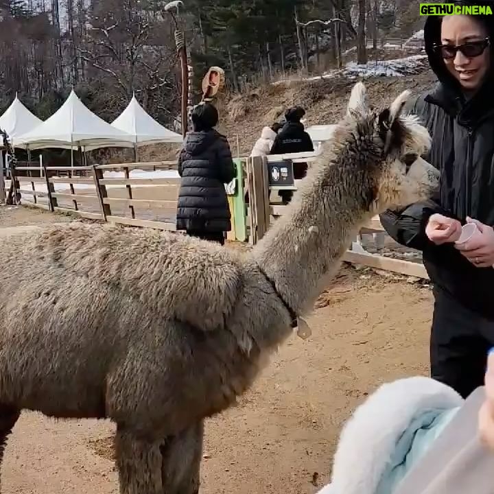 Nucksal - 3.9K Likes - ģķ칓 ź¹”ķØģ