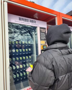 Nucksal Instagram - 알파카 깡패임
