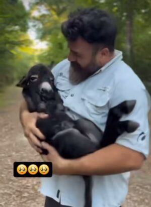 Nuno Markl Instagram - Não sei quem é este senhor carinhoso nem este burrinho querido. Apanhei isto por acaso no feed, sem indicação da origem. Sei que isto me lembrou das pessoas que chamam burras a outras sem lhes ocorrer que o burro é um animal sensível, inteligente e afectuoso. Três características que muita gente que chama burra a outros tende a não ter.