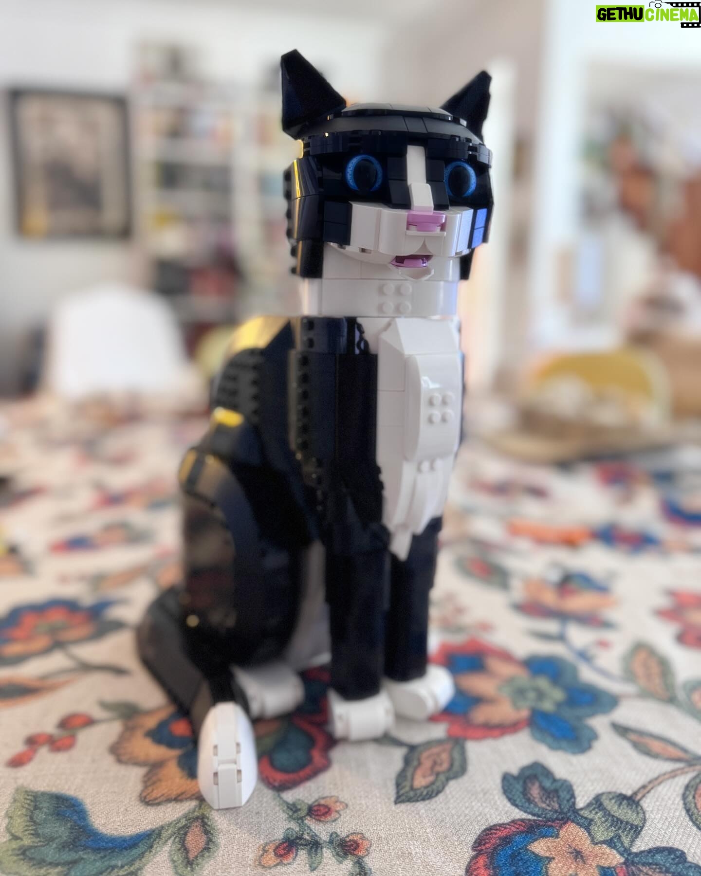 Nuno Markl - 8.7K Likes - O Pedro recebeu este no aniversário e construiu-o agora. É um dos sets Lego mais adoráveis que já vi. Um gato expressivo, em tamanho natural, maravilhosamente “esculpido” em peças, com um realismo e uma fluidez incríveis. De longe é fácil confundi-lo com um gato a sério!