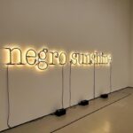 Nzingha Stewart