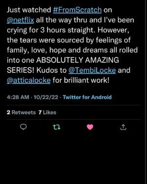 Nzingha Stewart Instagram - The people have spoken! If you haven’t watched it yet, please watch #FromScratch if you have, share! It’s so rare that we get to tell stories like this. I’m so proud of this work. So grateful to have been one of the many who has been touched by @tembilocke’s gorgeous story and @atticalocke’s beautiful humor and heart. This is who we are. #fromscratchnetflix