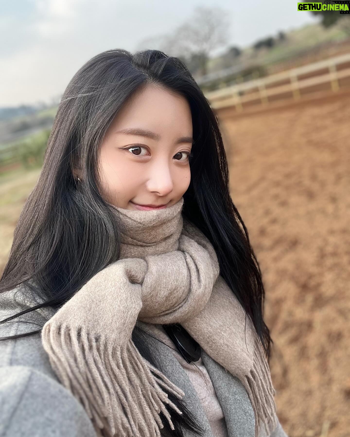 Oh Chae-yi - 3 Likes - 조카랑 오랜만에 제주✈️
간만에 말 타서 걱정했는데 칭찬받음!