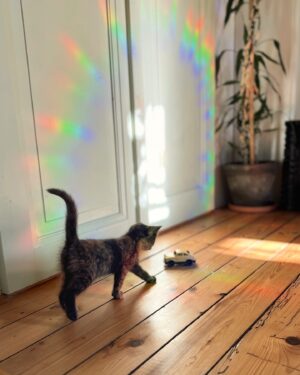 Olga Plojhar Bursíková Instagram - Duho, vítej! 🌈