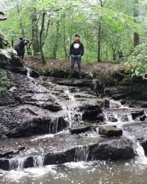 Oliver Claffey Instagram - Waterfall wandering with Guinness and Bilbo Waggins.

@canalpirateradio
@guinness_bilbo

🐊🏴‍☠️

#CaptainJack #Nature #Dogs #Hobbit #NarrowboatLife