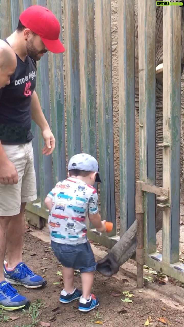 Osvaldo Friger - 3.6K Likes - Hace más de 7 años tuve la oportunidad de varias veces ir a grabar al zoológico de 🇵🇷. A muchos de los animales les di comida, pude atenderlos y hasta recogí la 💩 , aquí una pequeña memoria que Mundi le regalo a mi hijo; que el cargara para siempre. @frigerjr Todavía me habla de ella como si fue ayer. 🥺 Tuve la oportunidad de conocer a todo el staff del zoológico, desde biologo principal hasta los cuidadores, les confieso, les digo que las intenciones y esfuerzos de cada uno de estos seres humanos que trabajan allí era tratar de proveerles el mejor espacio y vida a cada animalito; lamentablemente, bajo sus limitada circunstancias. Estoy seguro que si hubiesen otorgado un presupuesto correcto hubiesen construido un Safari cómo el que hay en Animal Kingdom en Disney que todos quisiéramos o ya hemos visitado. Pudiera decir muchas cosas pero de las que no voy a decir son aquellas que apunten dedos sin tener toda la información. Intereses encontrados, económicos e ideales que nunca se alinearon. Ahora solo les deseo una mejor vida para ellos y como dice mi Gordo en el video “Adiós Mundi”