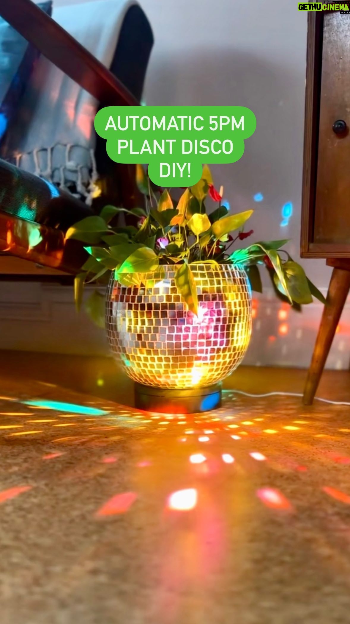 Owain Wyn Evans - 1.5K Likes - A party that starts automatically everyday at 5pm that both you AND your houseplants can enjoy?! Hereās my automatic 5 oāclock plant disco! šŖ“ šŖ©
.
.
.
#diy #homedecor #homeparty #diyhomedecor #plantlover #houseplants #plantdad #plantdaddy