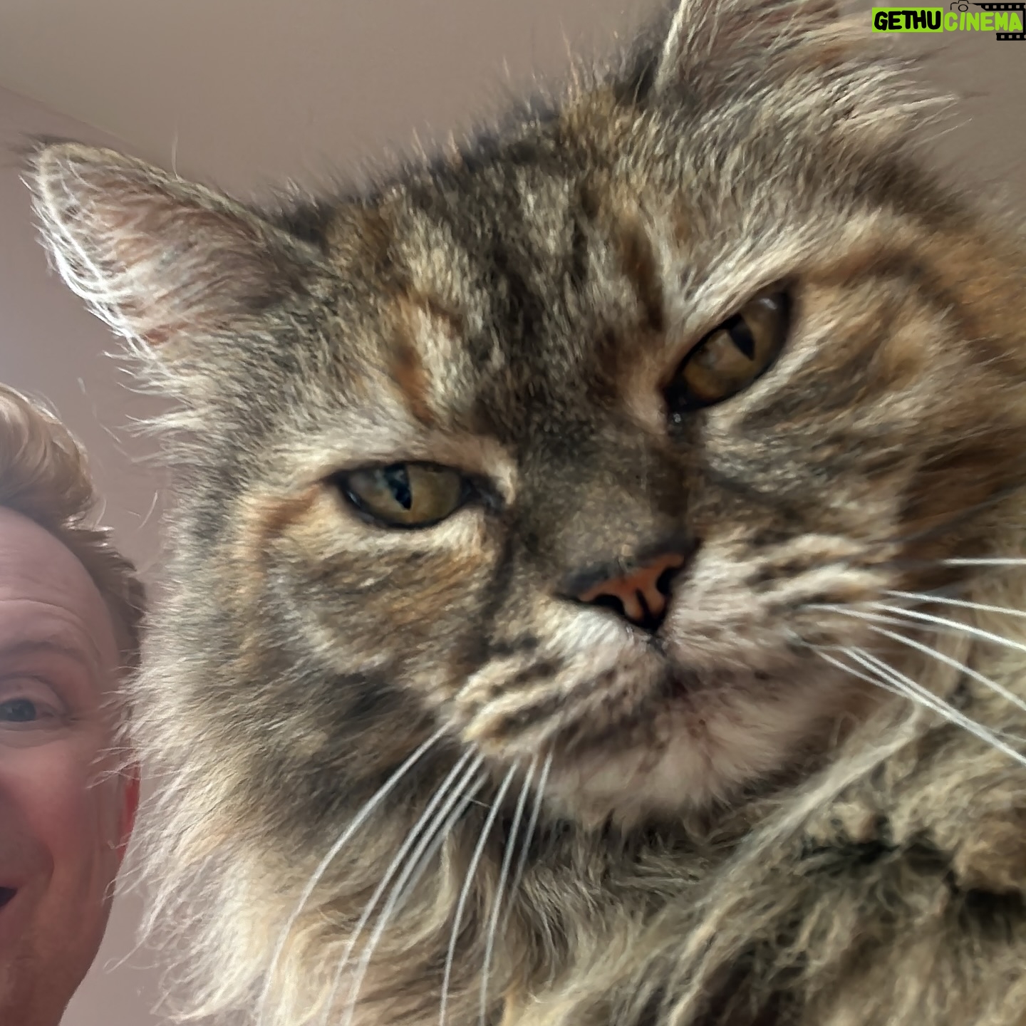 Owain Wyn Evans - 2.4K Likes - A carousel of recent goings on through the selfie lens.
1 Girls Aloud prinks
2 Dr Date Night
3 Care Bear
4 Broadcasting Boudoir babes
5 DIY
6 Great angle for her, not for me!
🥰🥰