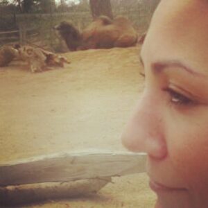 Özlem Tekin Instagram - camel
