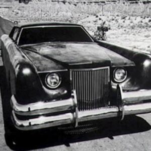 Özlem Tekin Instagram - the car
