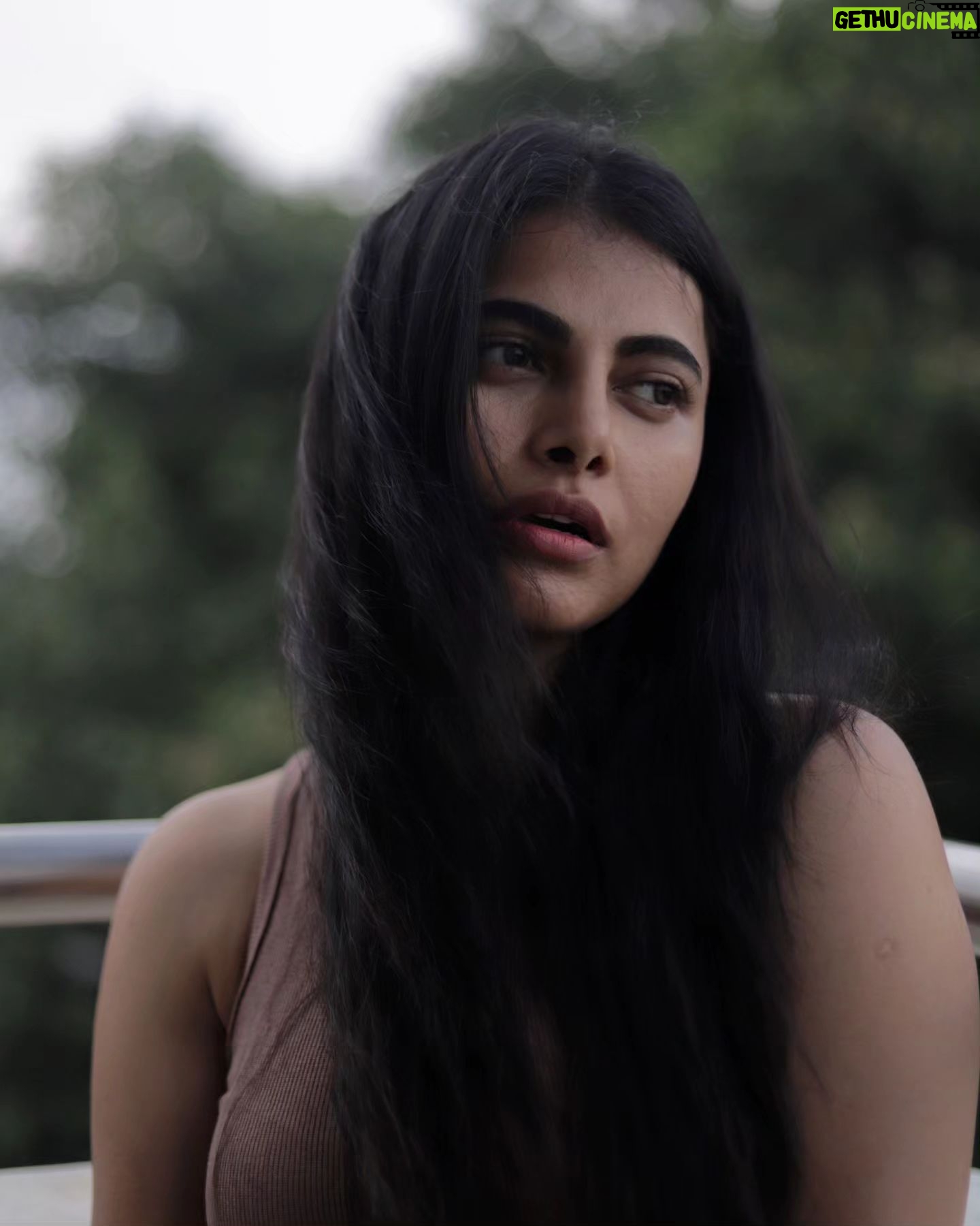 Paavana Gowda - 524 Likes - Just capturing the mood .
Shot by @sharan_gc
.
.
#actresspaavana #paavana