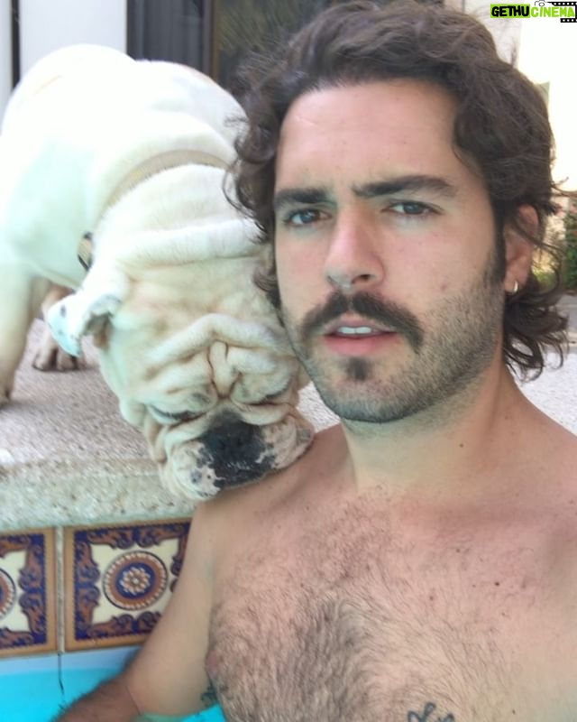 Pablo Lyle - 21.5K Likes - Buenos ☀️