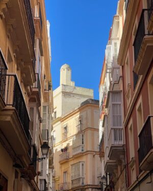 Paco Tous Instagram - Cádiz me desordenas!!! Te quiero.