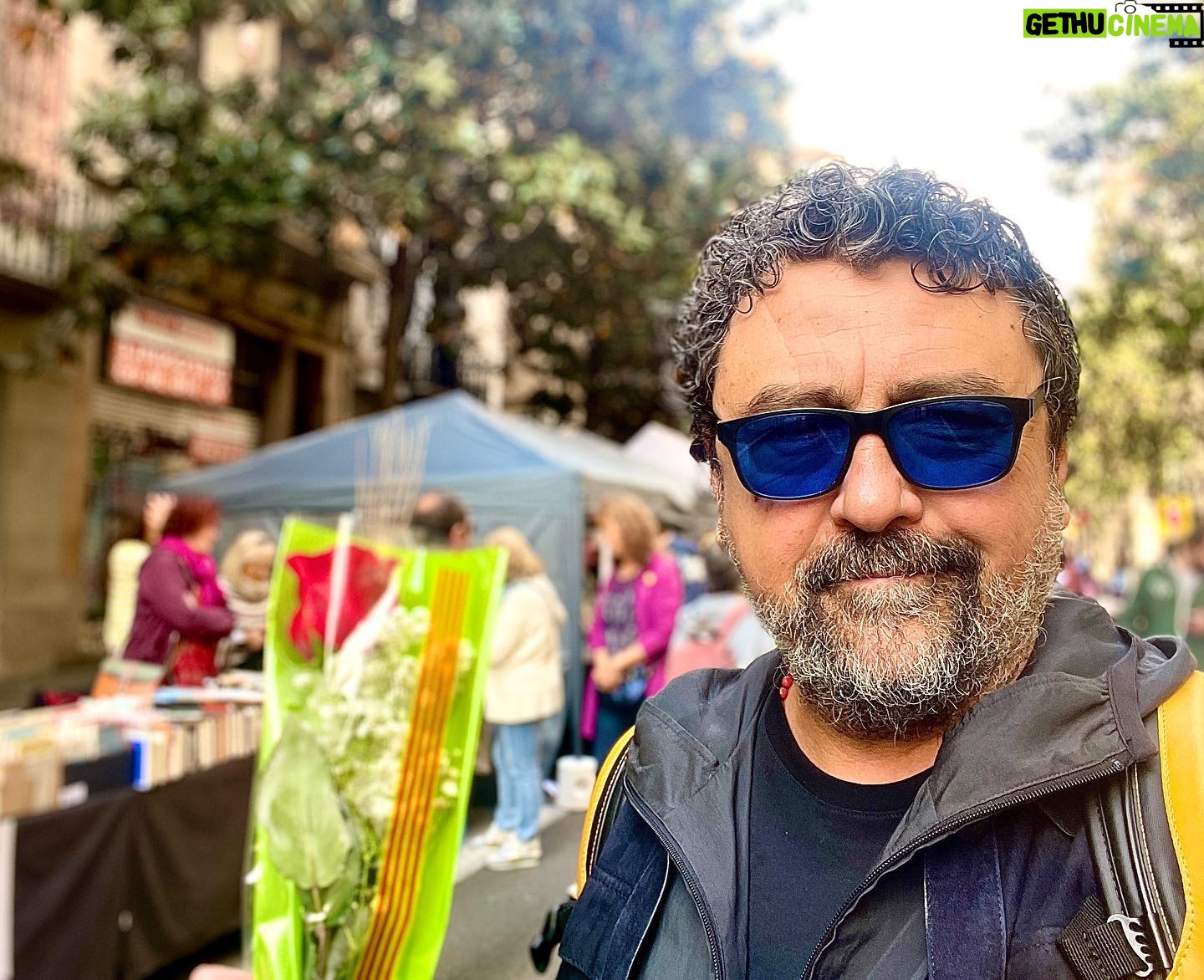 Paco Tous - 3.8K Likes - Feliz Sant Jordi