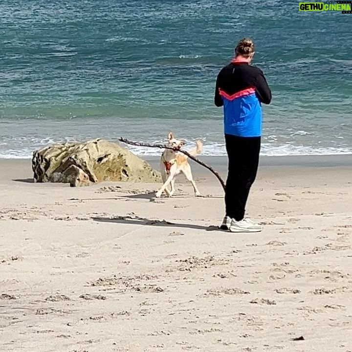 Paloma López - 571 Likes - Hemos visto el sol 5 min y ha sido apasionante 🐾🏠🐆