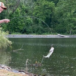 Pam Tillis Instagram - Been awhile since I had a moment to do this. My technique is a little rusty but I managed. With this particular bait it’s more about the jiggle than the reel. Lol 🎣