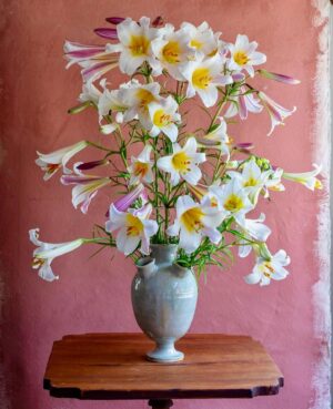 Pamela Golbin Instagram - #Flowers by @francespalmer #LilyRegale