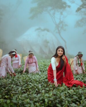 Paoli Dam Instagram - Time for a little escape☕️

Respect and love for the women whose hands craft the finest teas❤️

@abhijitpl2 
@poulami.rgupta 
@koi.worldwide 

#paolidam #makaibari #fyp #saree #tea #darjeeling