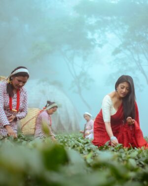 Paoli Dam Instagram - Time for a little escape☕️

Respect and love for the women whose hands craft the finest teas❤️

@abhijitpl2 
@poulami.rgupta 
@koi.worldwide 

#paolidam #makaibari #fyp #saree #tea #darjeeling