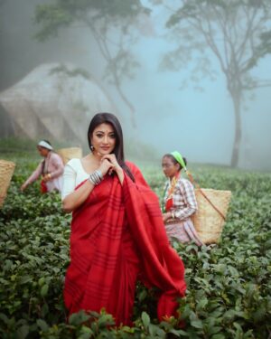 Paoli Dam Instagram - Time for a little escape☕️

Respect and love for the women whose hands craft the finest teas❤️

@abhijitpl2 
@poulami.rgupta 
@koi.worldwide 

#paolidam #makaibari #fyp #saree #tea #darjeeling