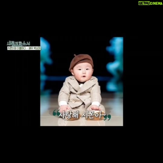 Park Bo-Mi - 4.1K Likes - 최고로 사랑하고 사랑하고
또 사랑하고 완전 사랑하는
자랑스러운 내 아들 박시몬👼
띠몬아 천국에서 딱 기다료.
우리 다시 만나는 그 날,
으스러지도록 안아줄고얌🤍