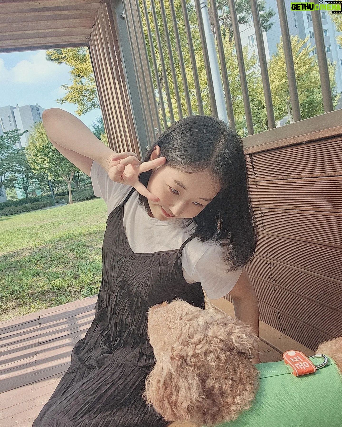 Park Bo-Mi - 1.3K Likes - 언니랑 떡볶이도 먹꼬
포동이랑 산책도 하고 짱덥꼬
올만에 #치통샷