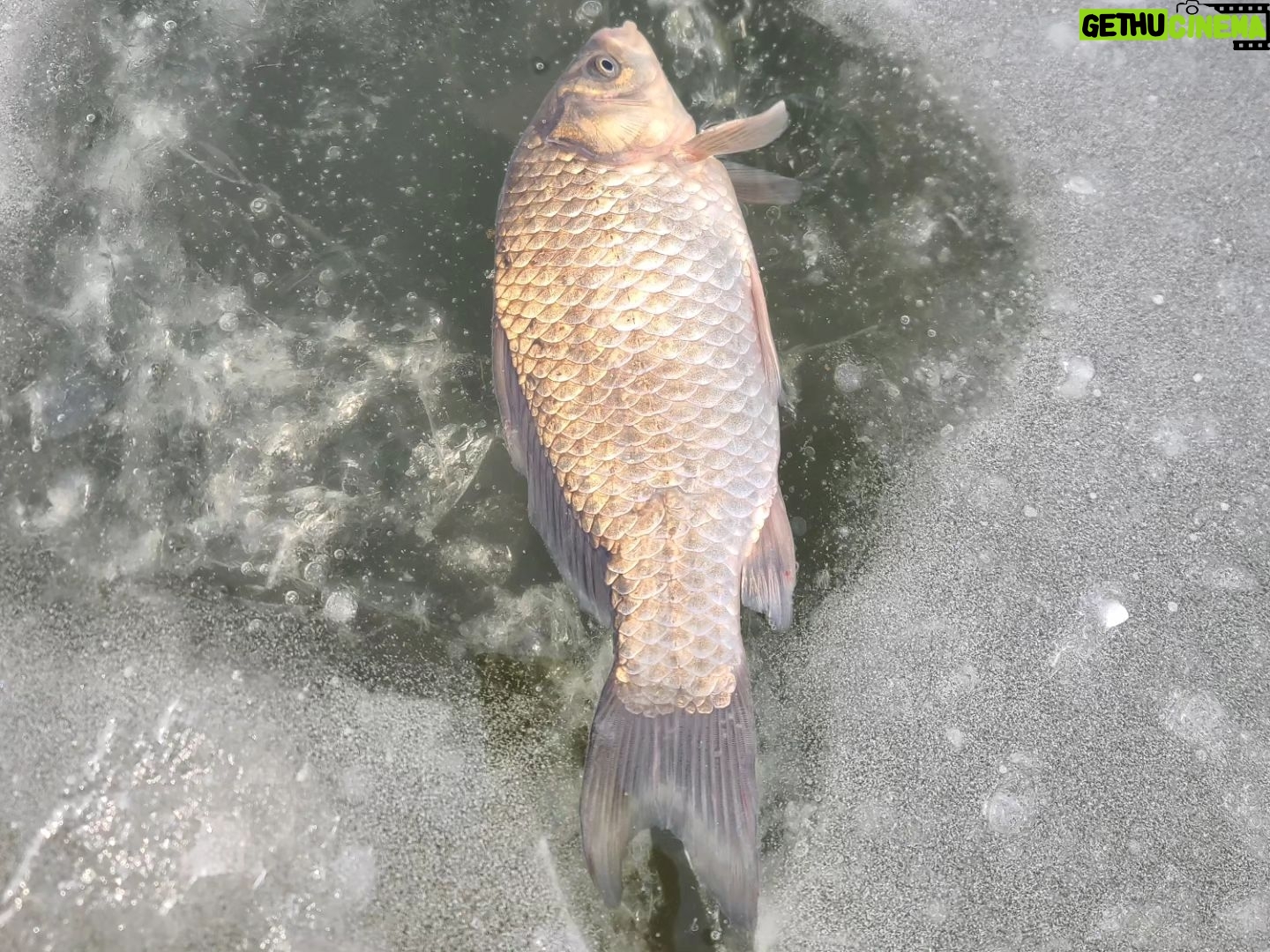 Park Byung-eun | Gethu Cinema